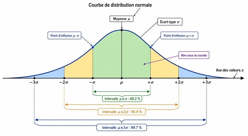 Courbe en cloche de la loi normale