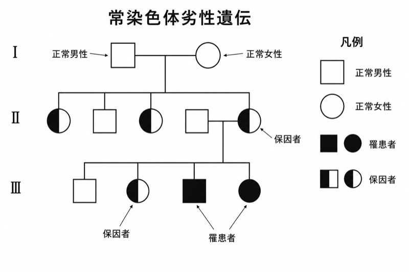 遺伝家系図