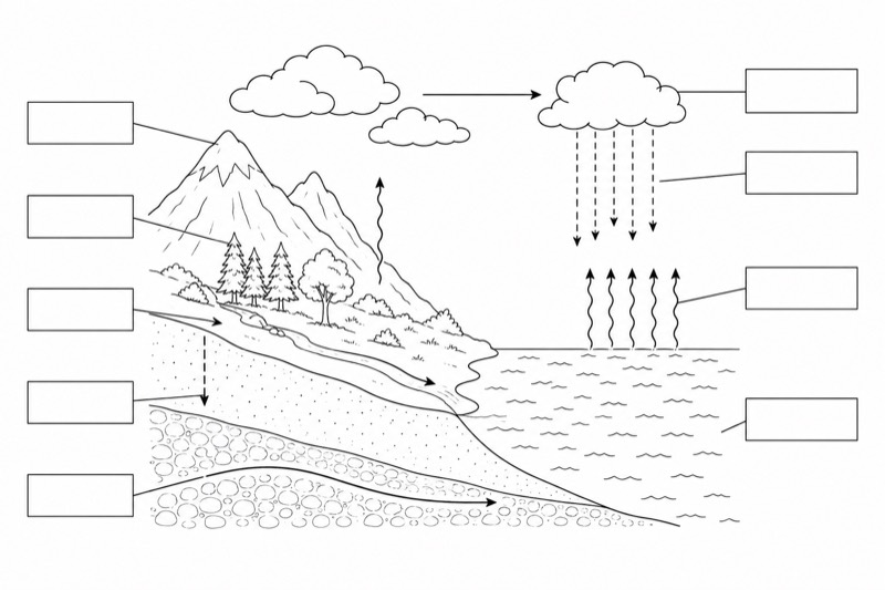 Unlabeled Water Cycle Diagram (Blank Worksheet)